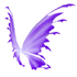 Purple Fairy Wings