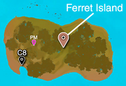 Inset Ferret Island