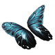 50x Dark Butterfly Glider