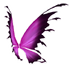 Pink Black Fairy Wings