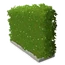 Hedge Tall (65 KB) Hedge Tall