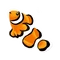 Clown Fish