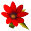 Red Daisy