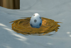 Snowy Owl Egg Object