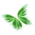 Light Green Butterfly Glider