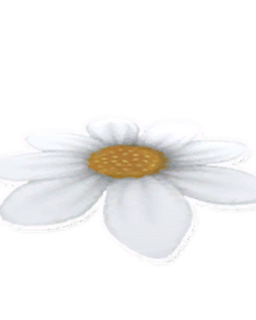 daisy rug garden paws wiki fandom