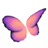 Sunset Butterfly Wings