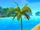 Palm Tree (Object)