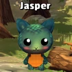 Jasper Miner
