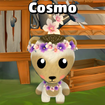 Cosmo (Cosmetic Tool Shop)