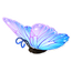 Butterfly Blue Pink