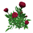 Decorative Red Rose (41 KB) Decorative Red Rose