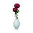 Red Rose Vase (13 KB) Red Rose Vase