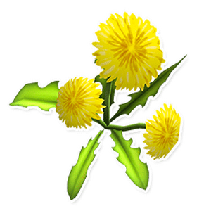 dandelion garden paws wiki fandom dandelion garden paws wiki fandom
