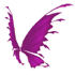 Pink Fairy Wings