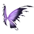 Purple Black Fairy Wings