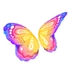 Pastel Rainbow Butterfly Wings