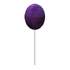 Purple Balloon