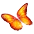 Fire Butterfly Glider