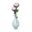 White Rose Vase