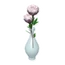 White Rose Vase