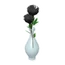 Black Rose Vase (15 KB) Black Rose Vase