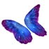 Galaxy Butterfly Glider*