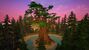 Forest Region