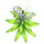 Tall White Flower.png