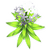 Tall White Flower