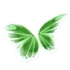 Light Green Butterfly Wings
