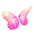 Pastel Pink Butterfly Wings