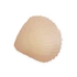 Clam