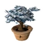 Small Tree