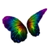 Dark Rainbow Butterfly Wings