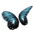 Dark Butterfly Wings