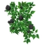Black Rose Trellis (44 KB) Black Rose Trellis
