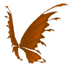 Orange Fairy Wings