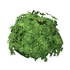 Leafy Coat