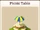 Picnic Table (Artifact)