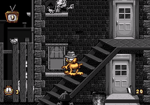 GarfieldCitA MD Catsablanca