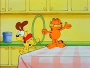 Special About Odie: Odie runs through a hoop and off the table for a second time.