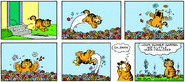 A fat feline frolics in flowers for the first time.