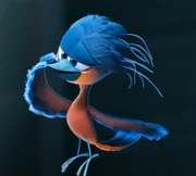 Barry as he complements to Jinx