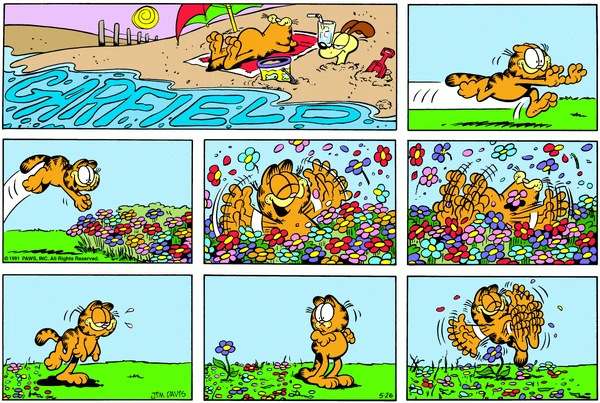 1991-05-26