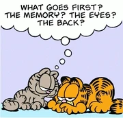 6/12/2002 Nermal mockingly asks what body part is first to go.