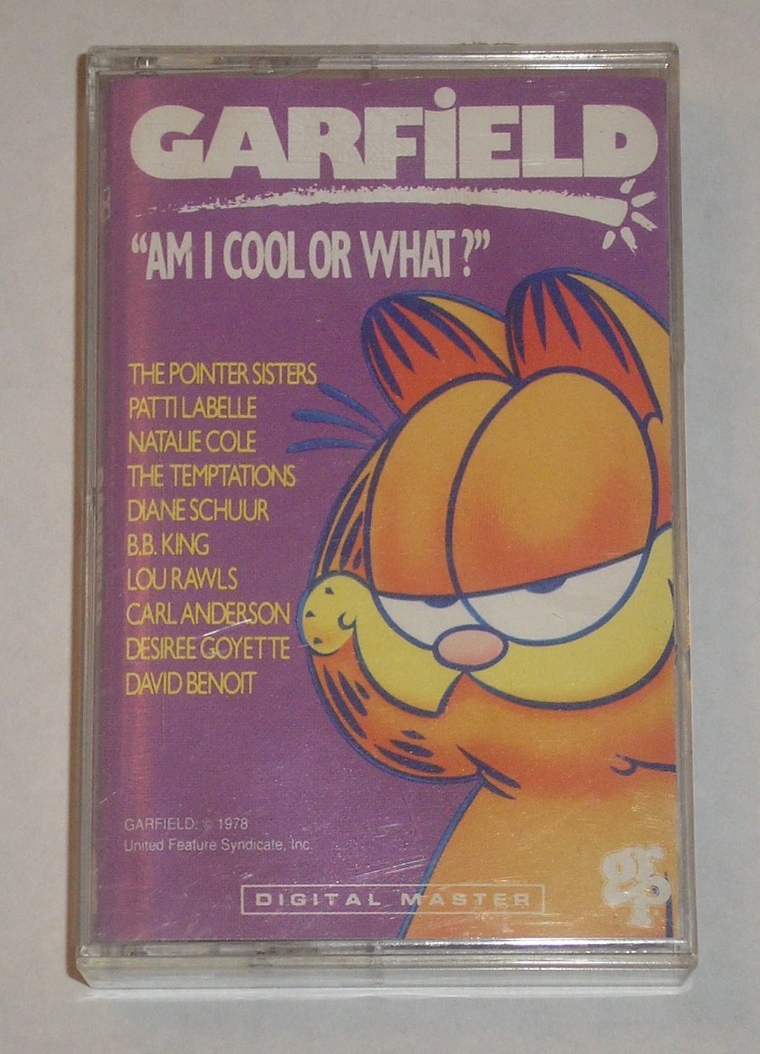 Am I Cool or What? | Garfield Wiki | Fandom