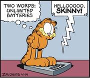 Diets Scales Other