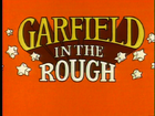 Garfieldintheroughtitle