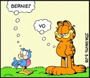 3/28/2013 Bernie the bodyguard inside Garfield's gut.